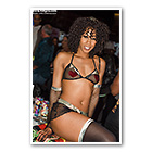 Misty Stone