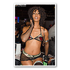 Misty Stone