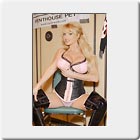 Taylor Wane