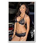 Cristal Vang