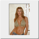 Traci Taylor